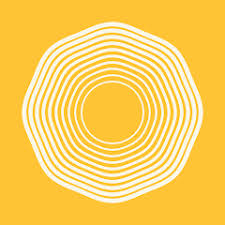 MIVS vzw en Maharishi Foundation International